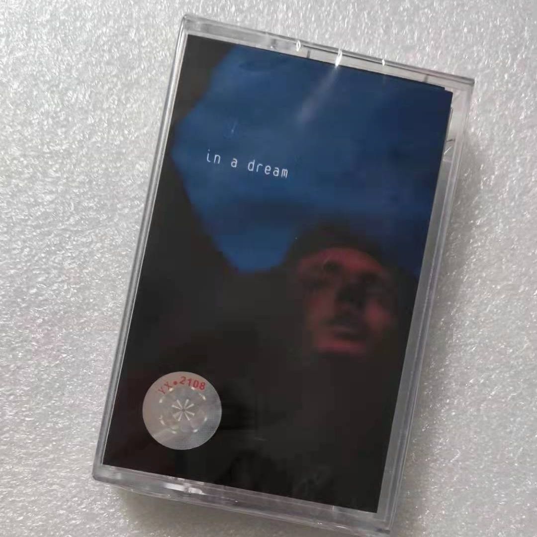 Troye Sivan In A Dream Album M - Electronic Gift recensie en prijs