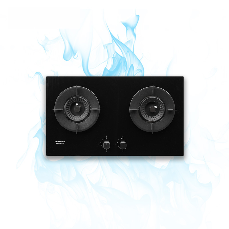 Groothandel 2-pits LPG-gaskook - Electronics & Gadgets Starting With C recensie en prijs